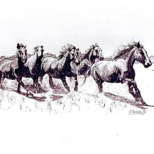 Cavalli in corsa - penna feltro - cm.41x29 - 1992